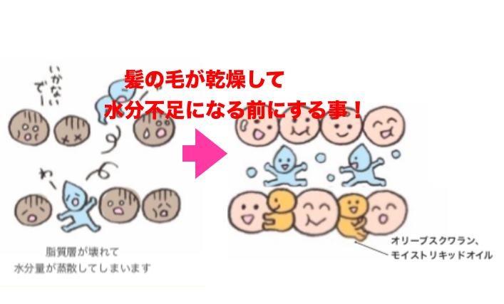 秋の髪の毛の乾燥対策を紹介します！！